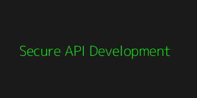 Secure API Development